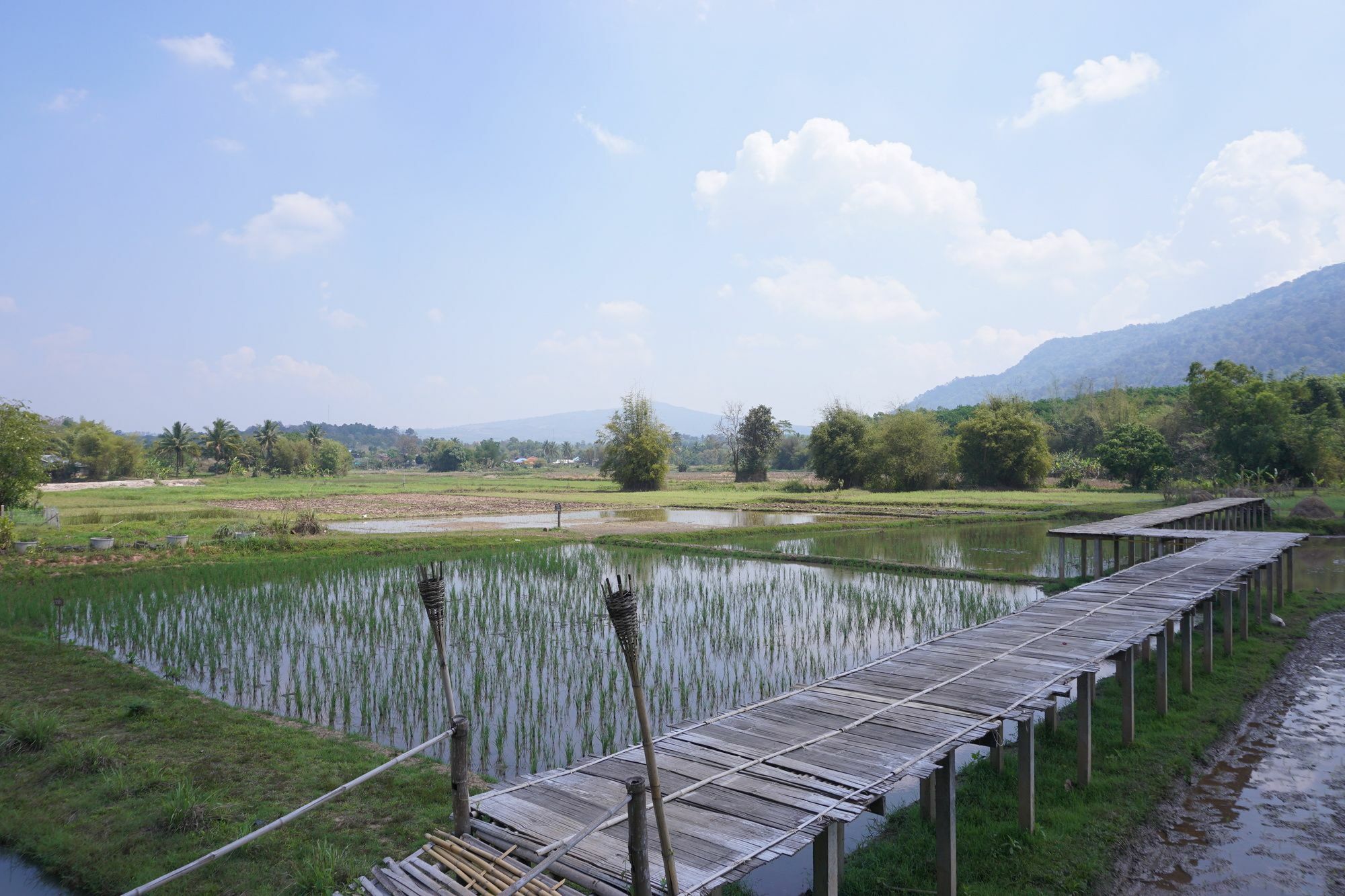 Phuruarounmai Organic Living Resort Лей Екстер'єр фото